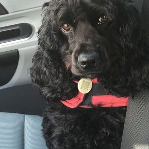 Meet your Posher, Agnes